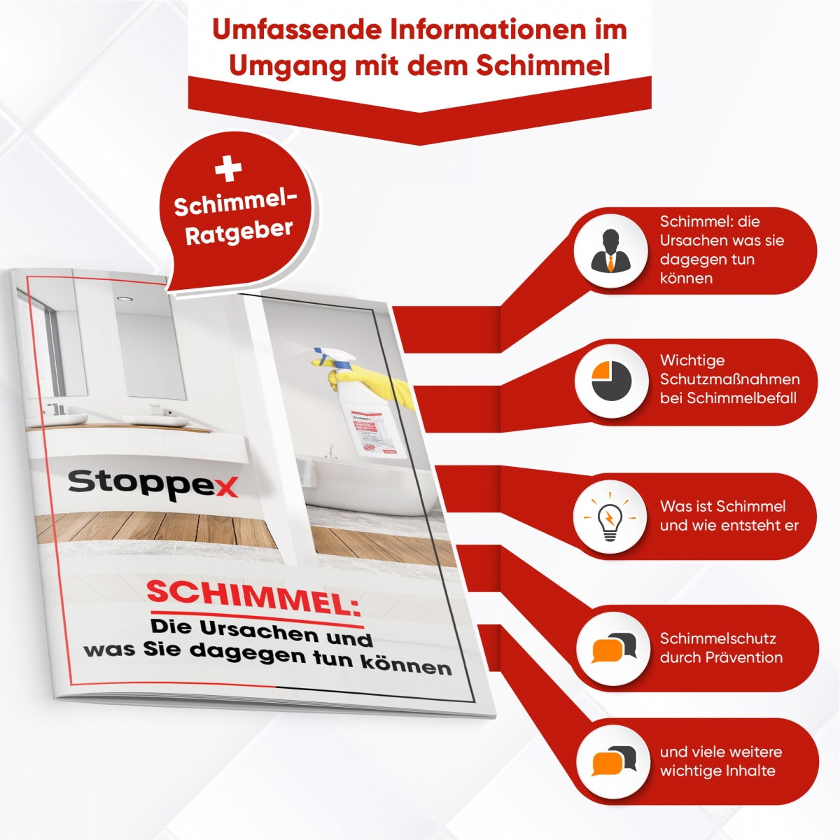 Schimmelratgeber und umfassende Informationen zu Schimmel